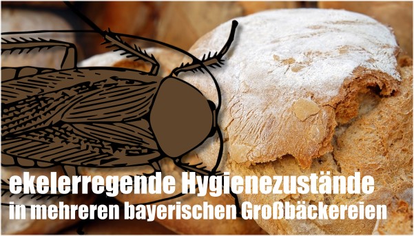 Teils ekelerregende Hygienezustände in mehreren bayerischen Großbäckereien 