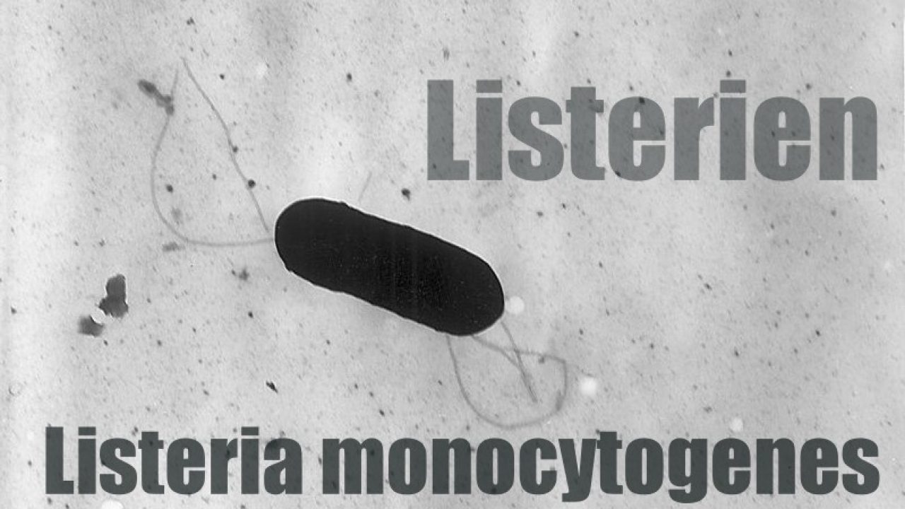 Warnung Listerien Adler Restaurant In Hanau Warnt Vor Bestimmten Speisen Produktwarnungen Produktruckrufe Und Verbraucherwarnungen