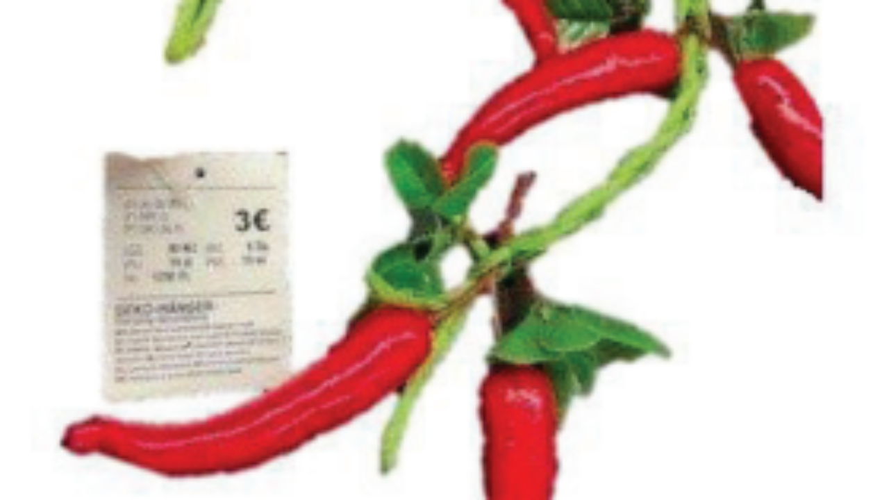 Rückruf: Kleinteile – TEDi ruft Chili-Girlande zurück – Produktwarnungen – Produktrückrufe und Verbraucherwarnungen